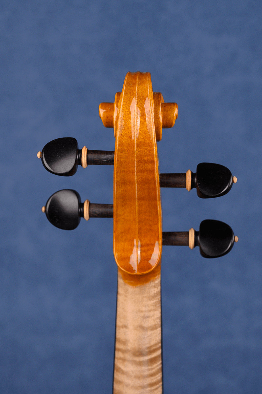 Concert Intermediate Violin Outfit L029 | Unique Golden Finish