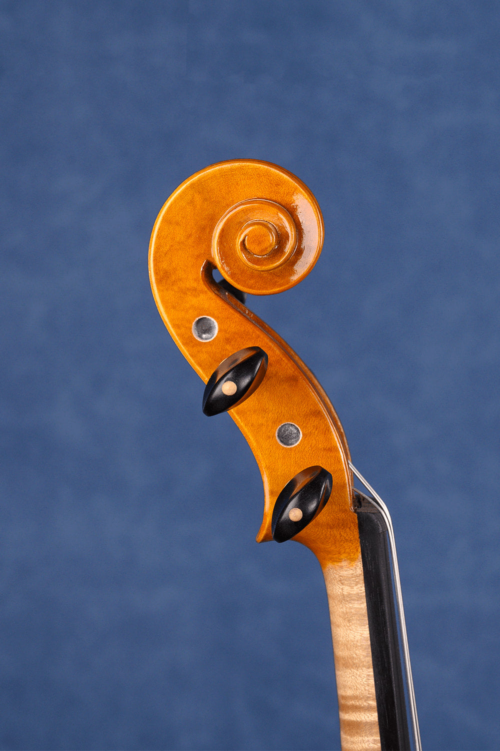 Concert Intermediate Violin Outfit L029 | Unique Golden Finish