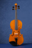 Concert Intermediate Violin Outfit L029 | Unique Golden Finish