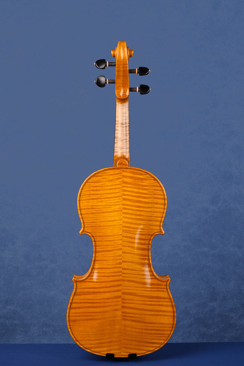 Concert Intermediate Violin Outfit L029 | Unique Golden Finish