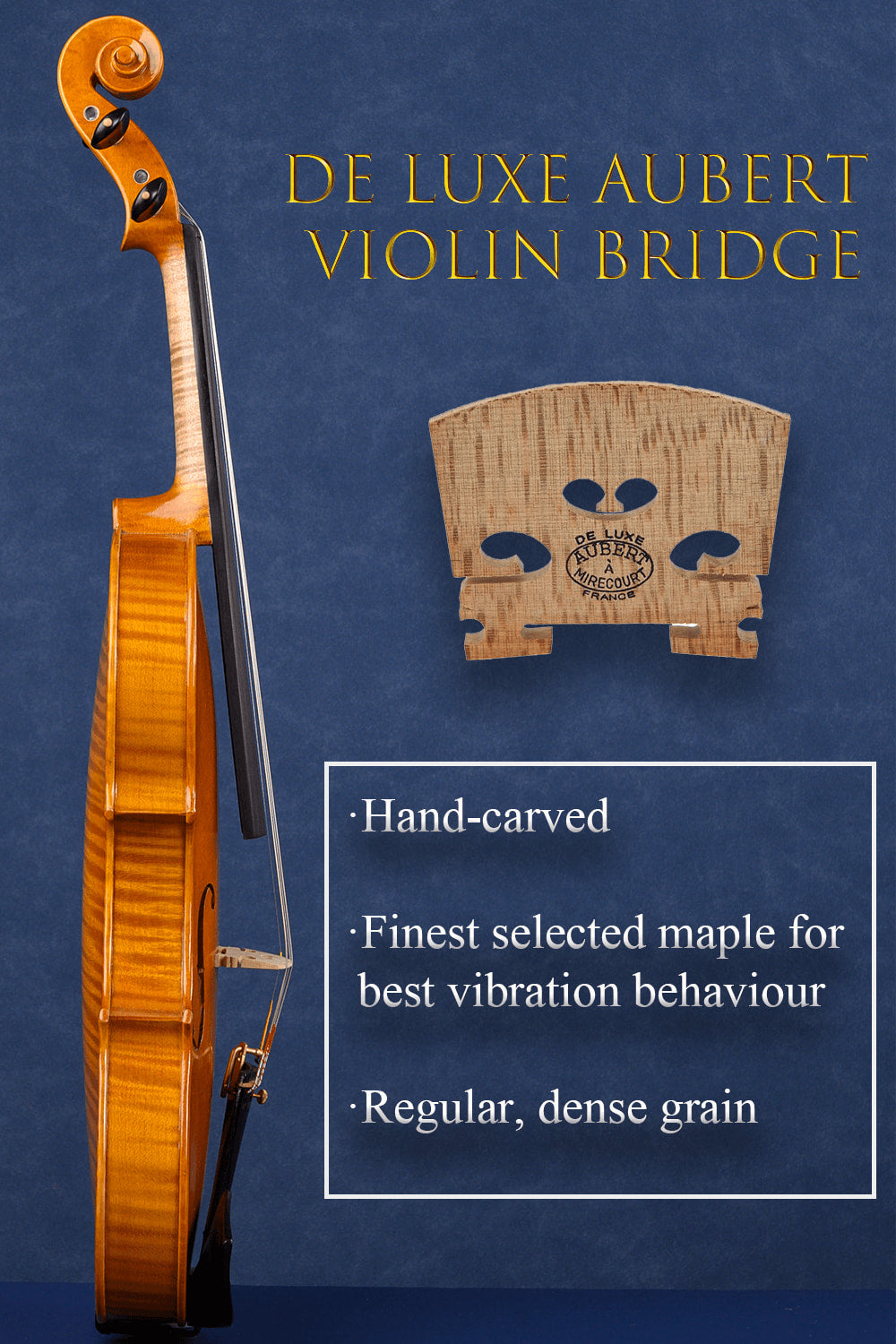 Concert Intermediate Violin Outfit L029 | Unique Golden Finish
