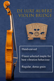 Concert Intermediate Violin Outfit L029 | Unique Golden Finish