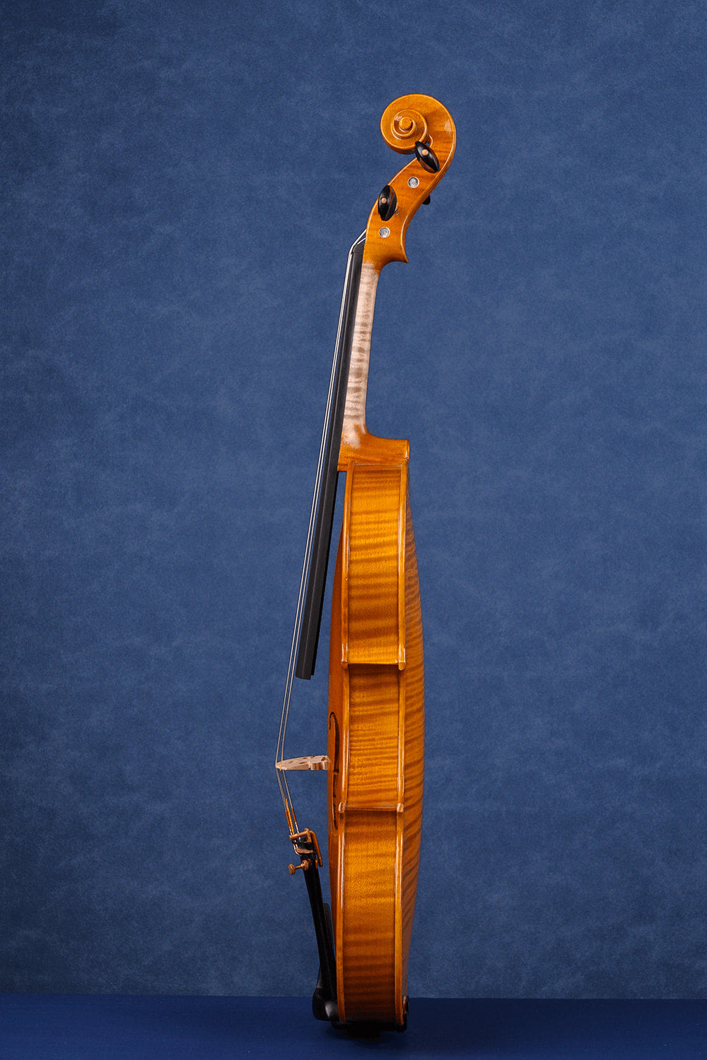 Concert Intermediate Violin Outfit L029 | Unique Golden Finish