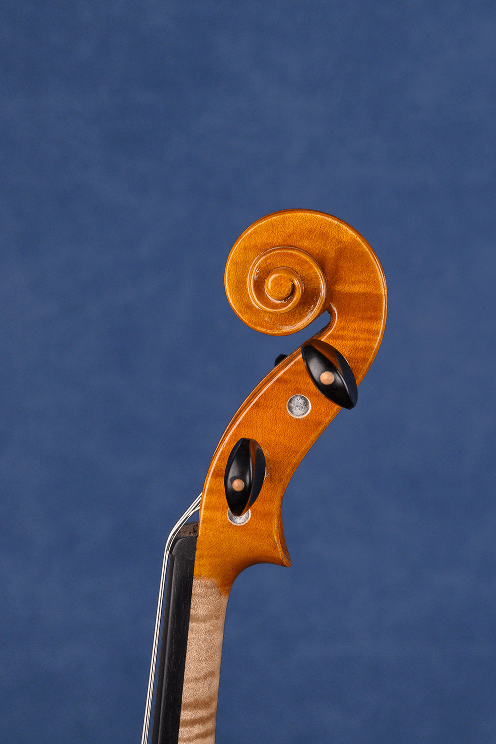 Concert Intermediate Violin Outfit L029 | Unique Golden Finish