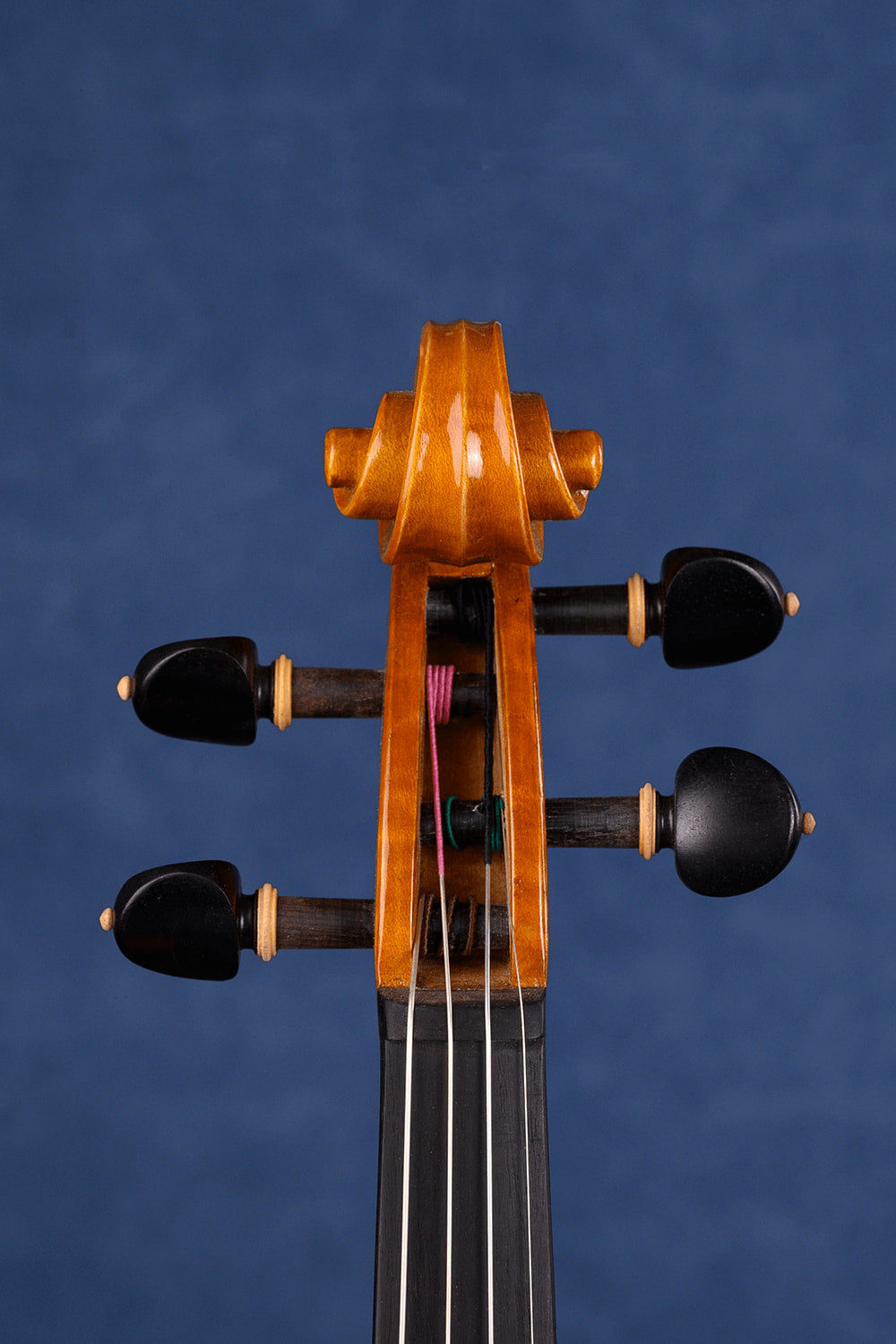 Concert Intermediate Violin Outfit L029 | Unique Golden Finish