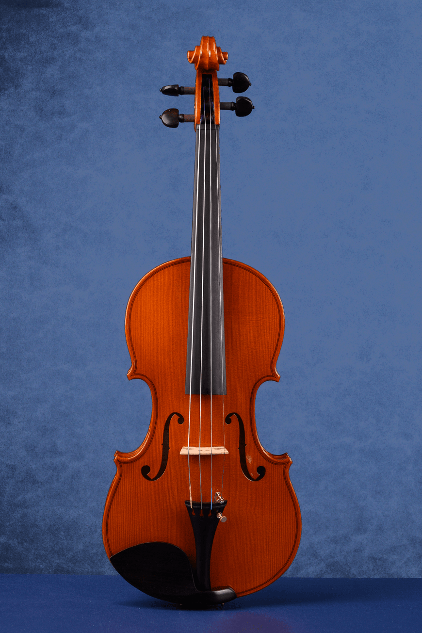 How many strings does a violin have fiddlover violin shop