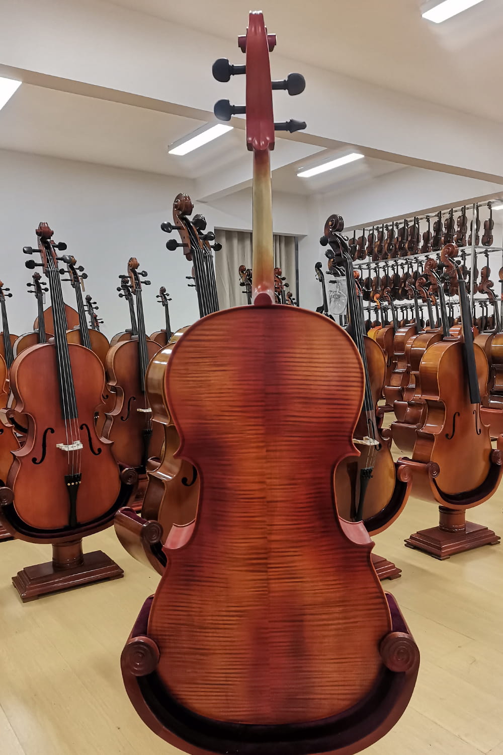Fiddlover Classic Beginner Cello Outfit CI6