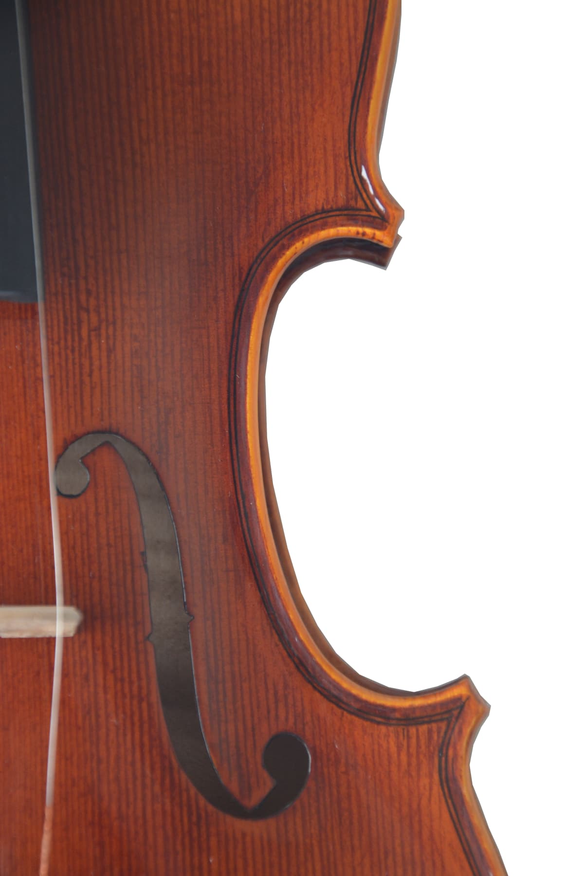 Advanced Flamed Maple Beginner Violin Outfit L019