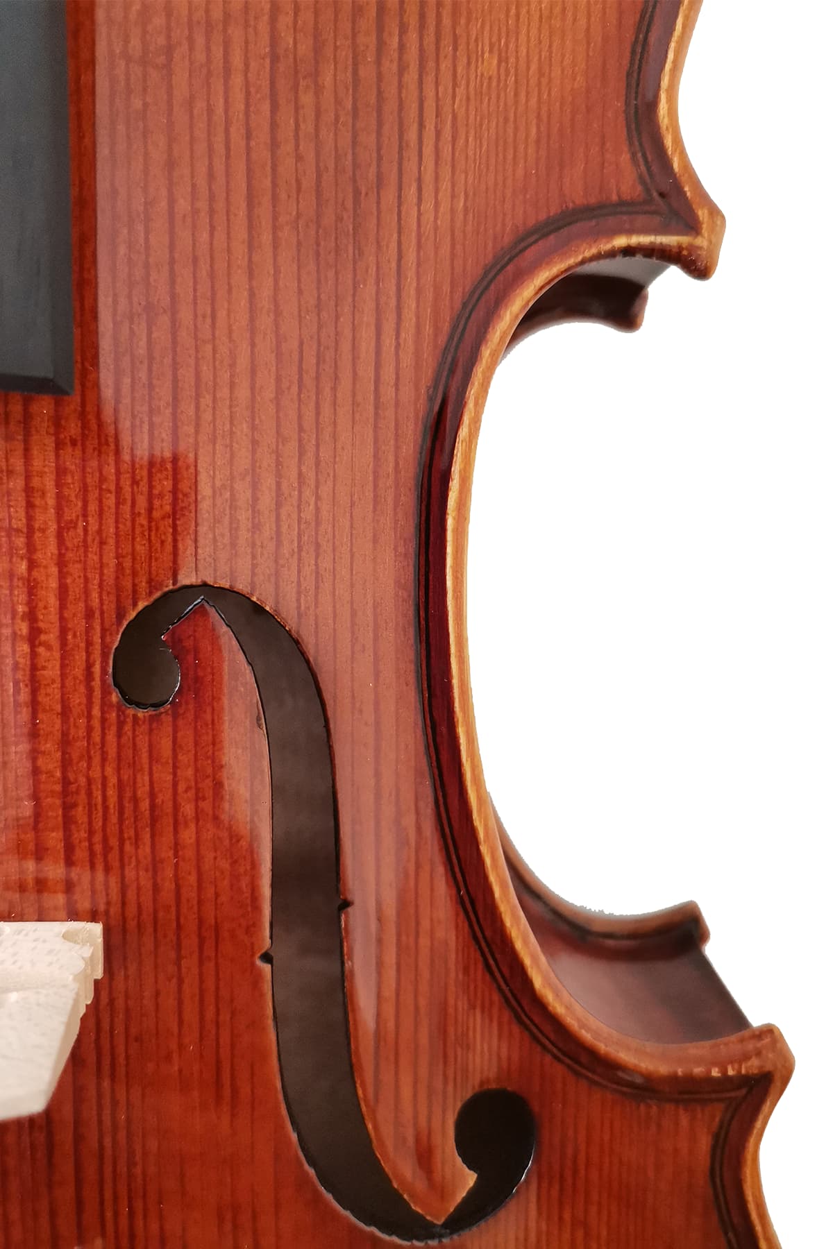 Fiddlover Retro Beginner Violin Outfit L016
