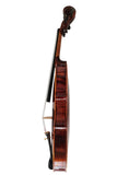 Fiddlover Classic Beginner Violin Set L018