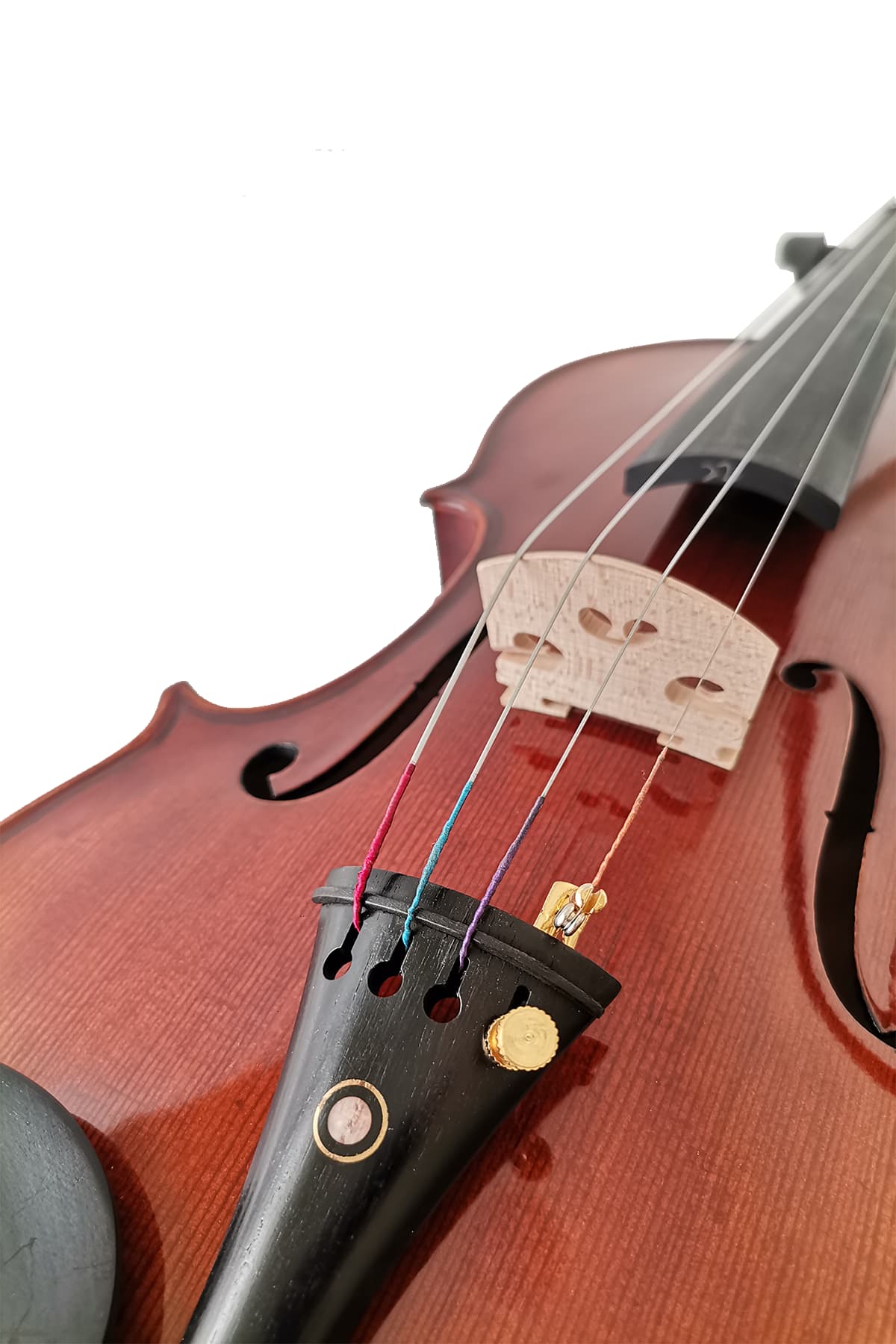 Fiddlover Classic Beginner Violin Set L018
