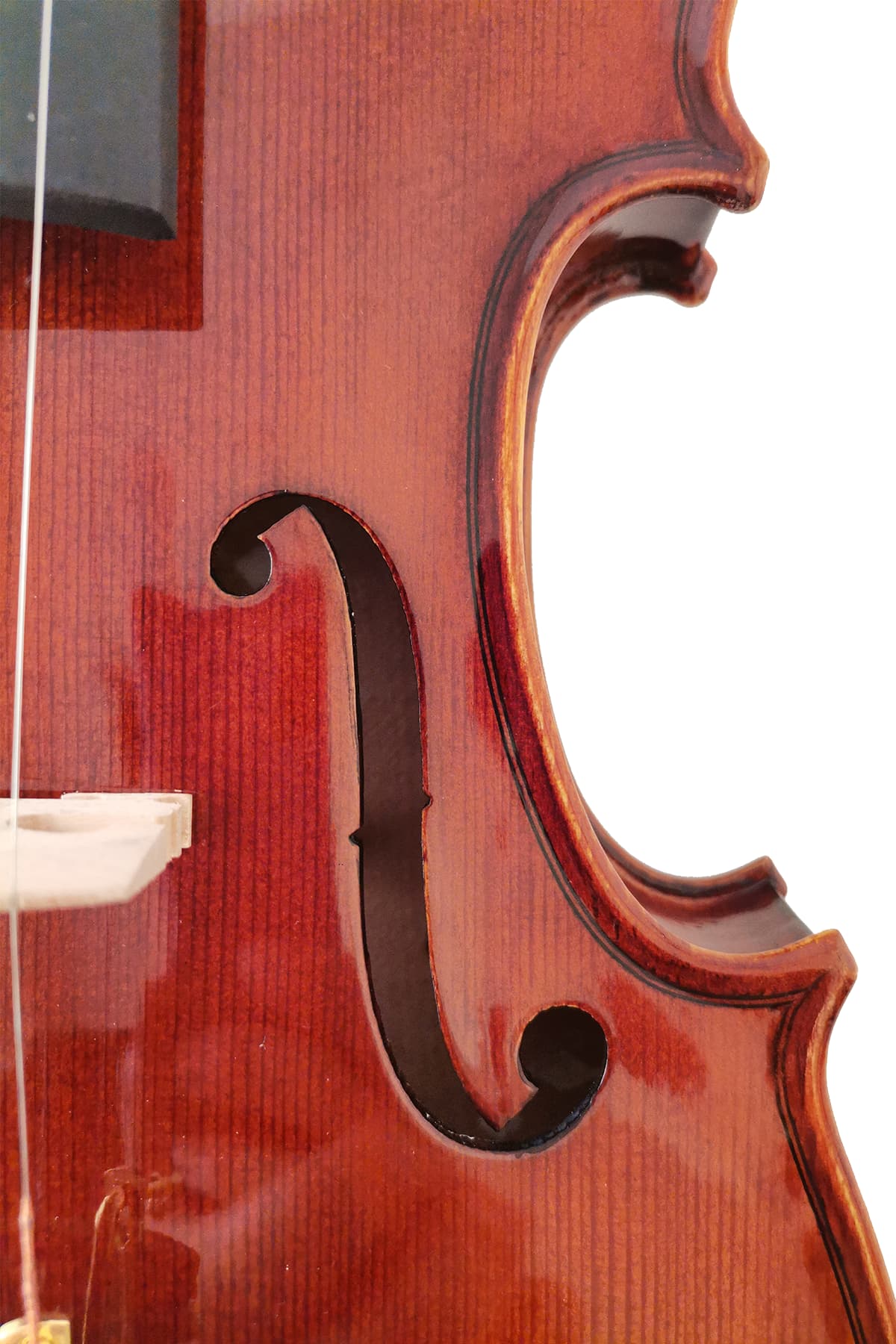 Fiddlover Classic Beginner Violin Set L018