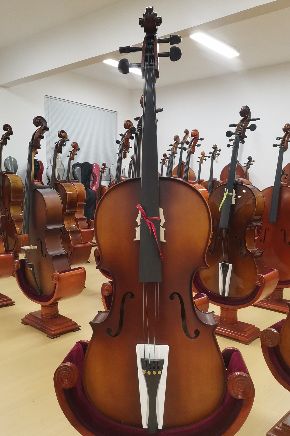 Fiddlover Violin Shop Cello Outfit CI5-1