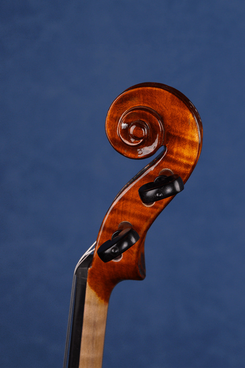 Fiddlover Artist Intermediate Violin Outfit L028 | Expertly Crafted | Ready to Play