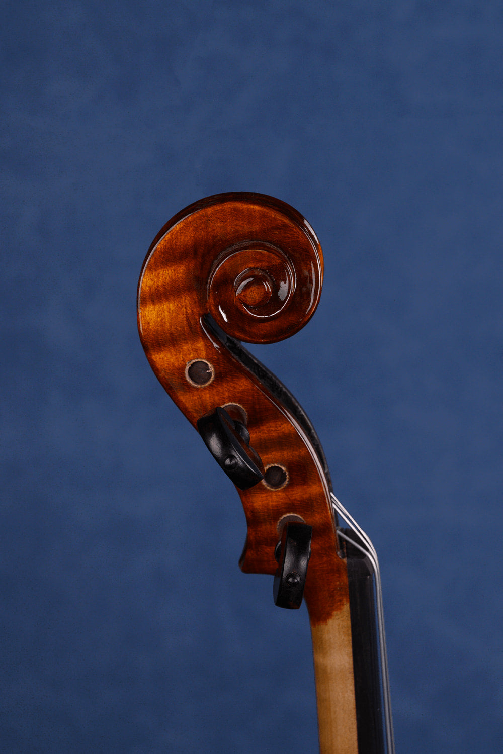Fiddlover Artist Intermediate Violin Outfit L028 | Expertly Crafted | Ready to Play