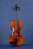 Fiddlover Intermediate Violin Outfit L017 (Superb Value)