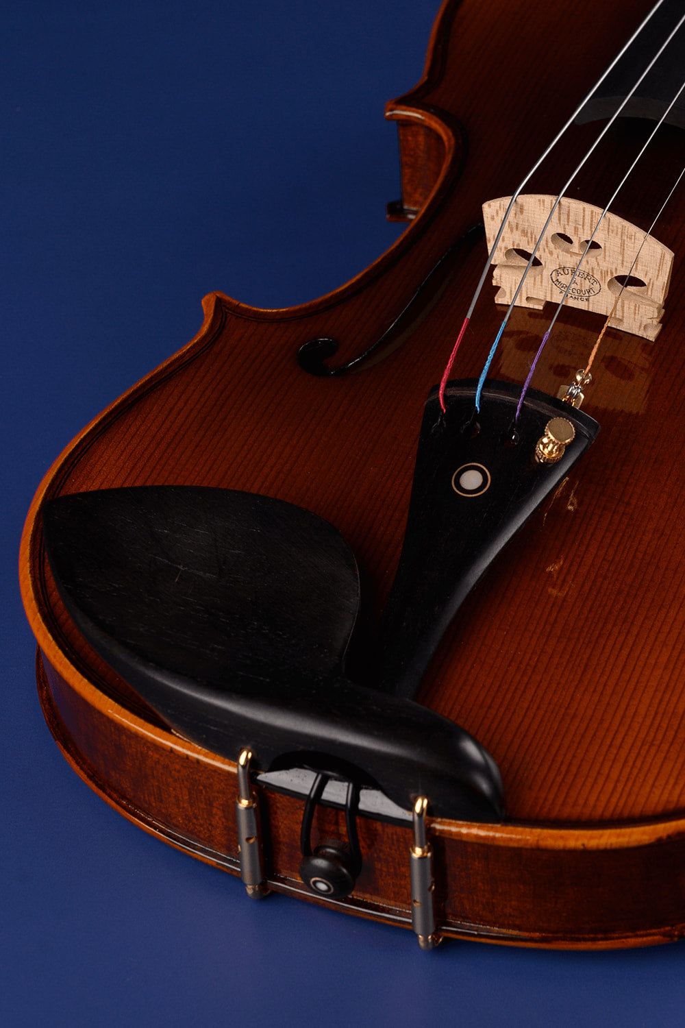 Fiddlover Intermediate Violin Outfit L017 (Superb Value)