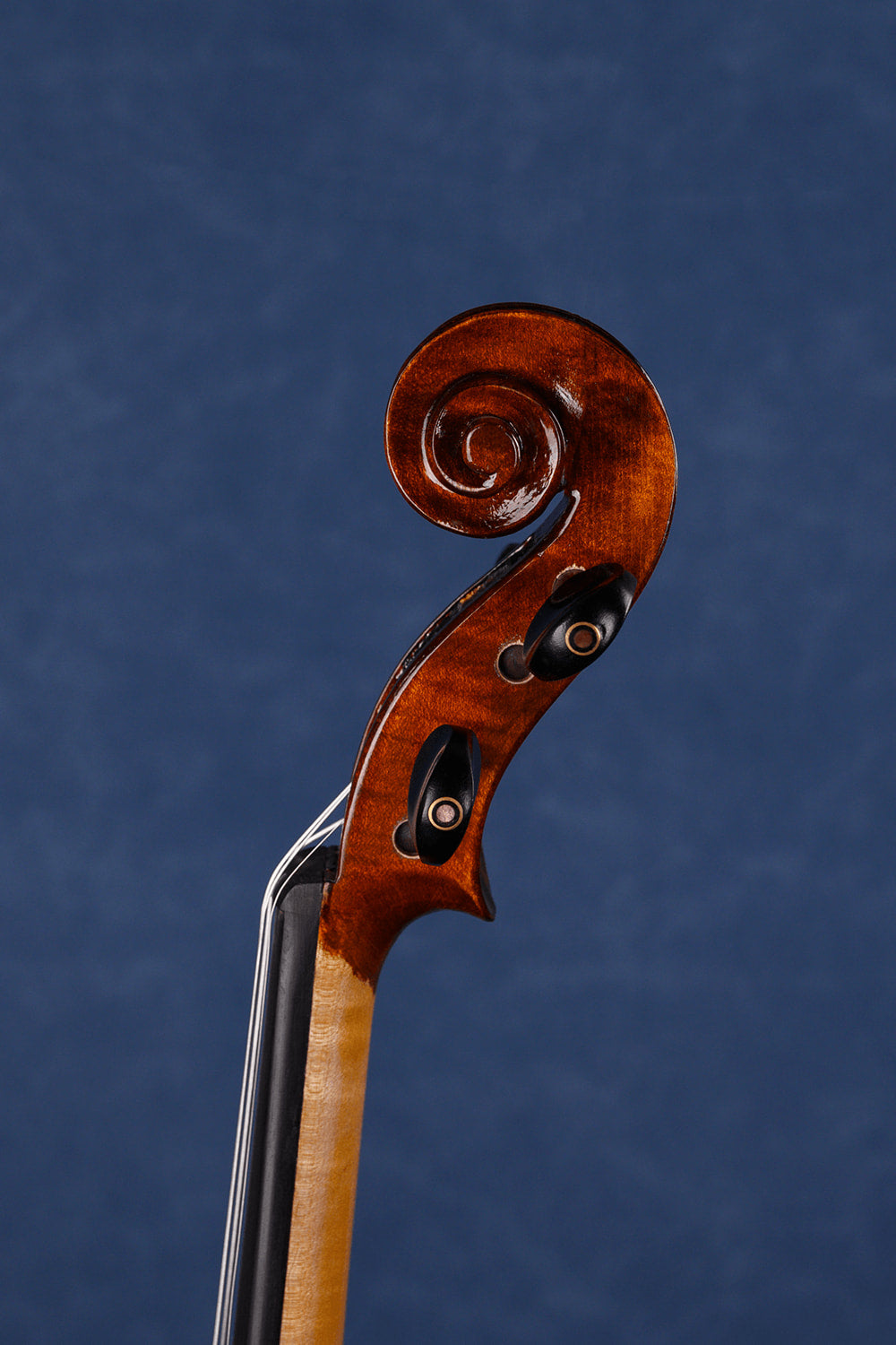 Fiddlover Intermediate Violin Outfit L017 (Superb Value)