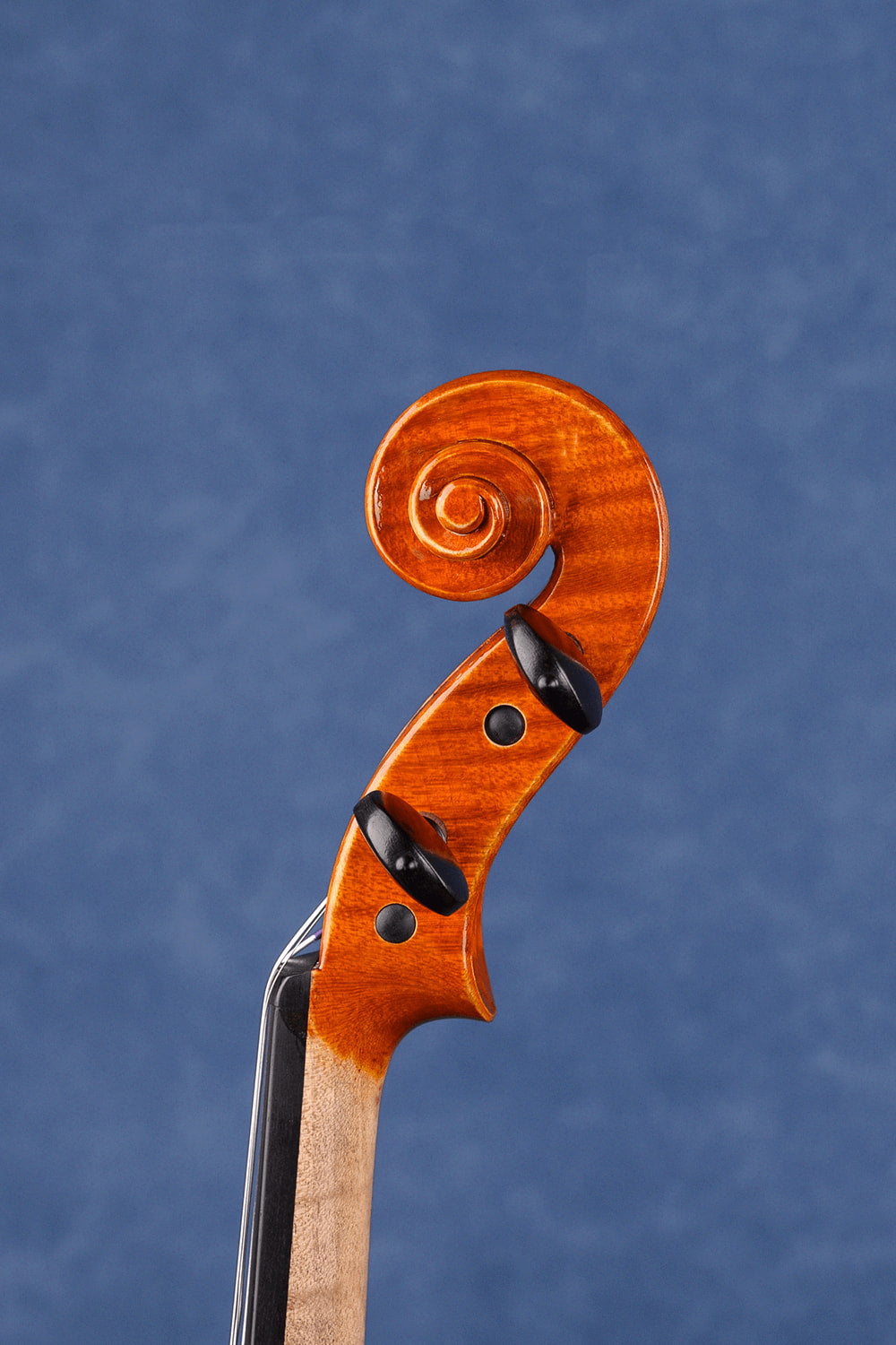 Fiddlover Intermediate Violin Outfit Q020 (Orchestra & Solo Choice)