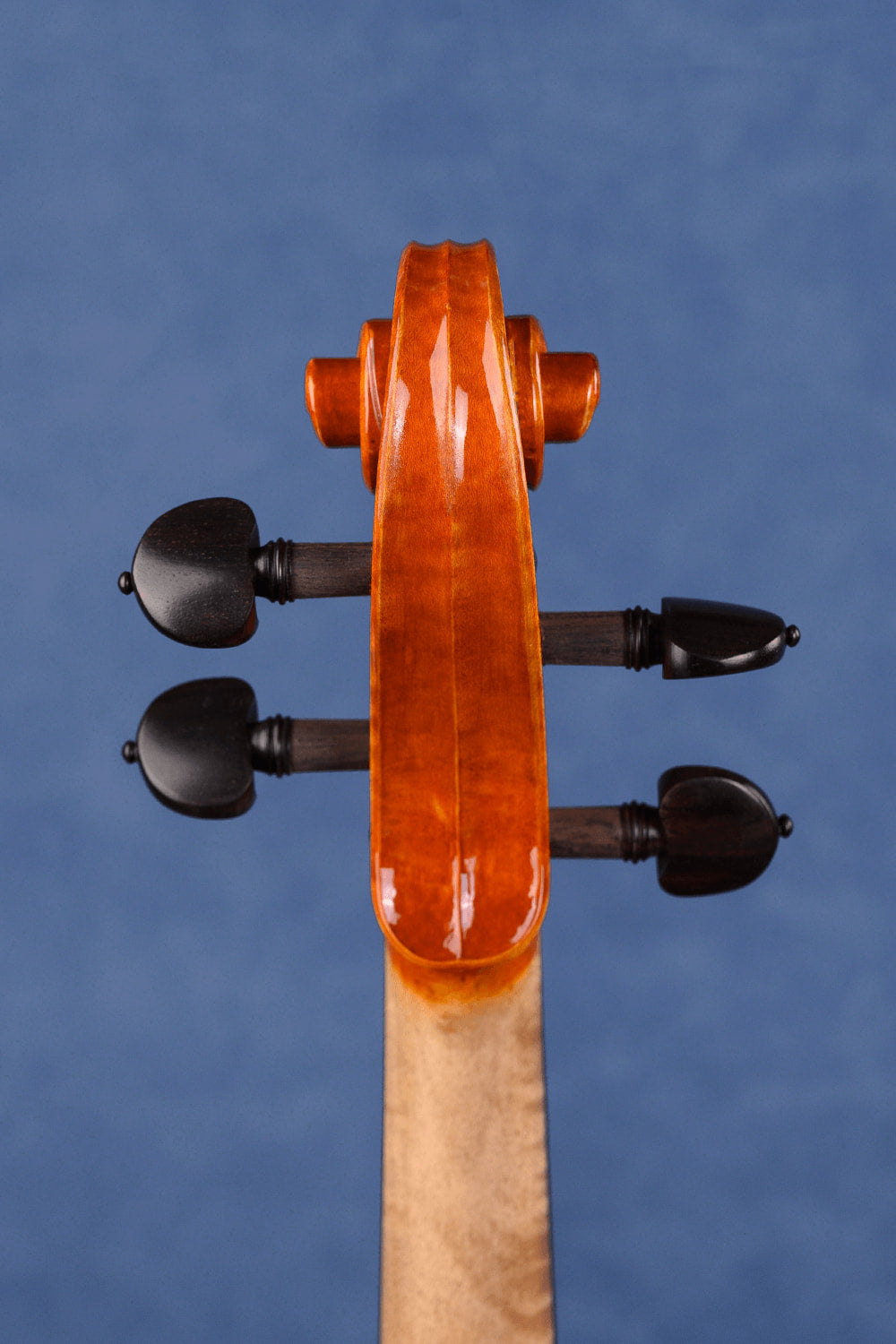 Fiddlover Intermediate Violin Outfit Q020 (Orchestra & Solo Choice)