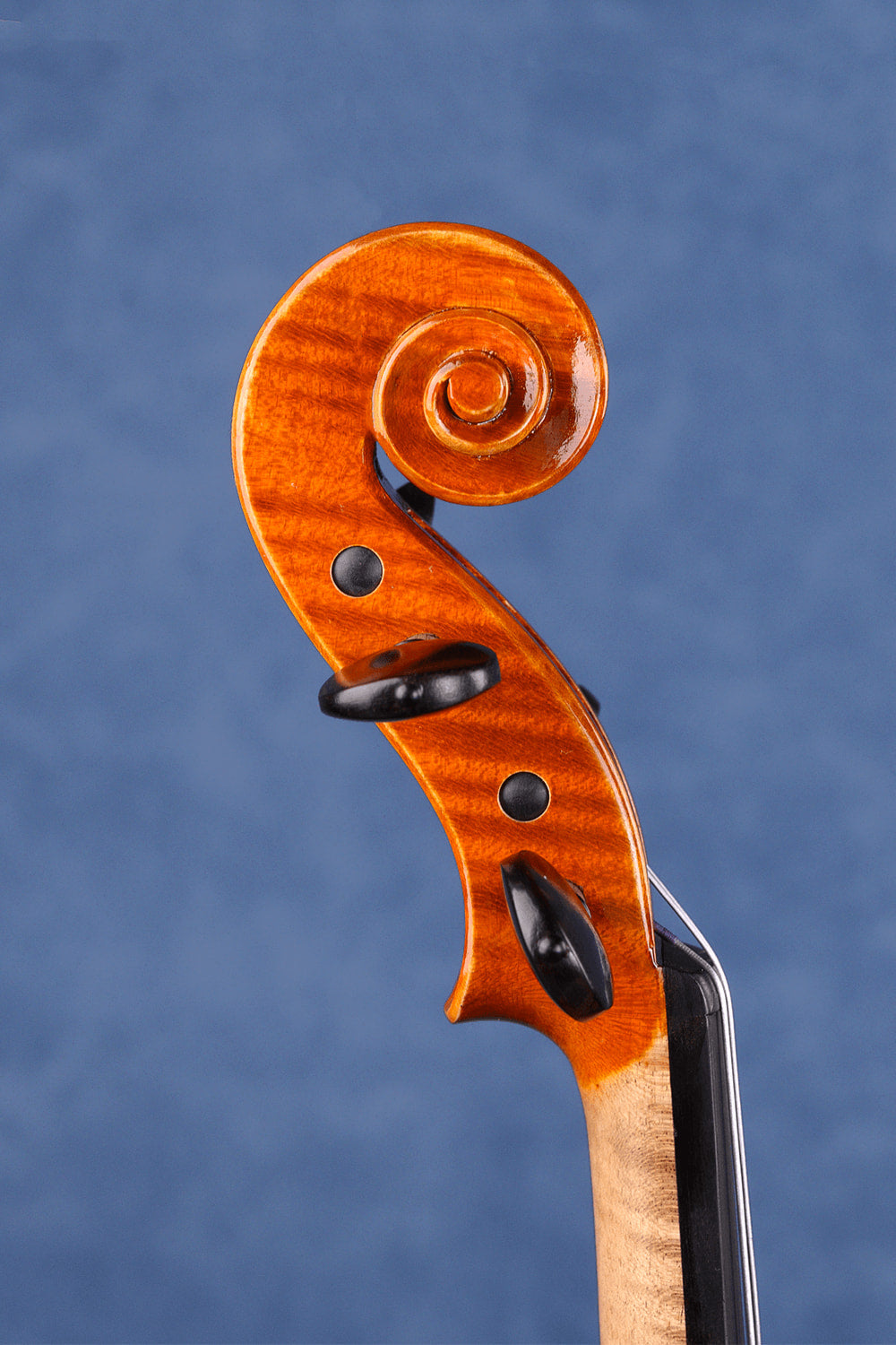 Fiddlover Intermediate Violin Outfit Q020 (Orchestra & Solo Choice)