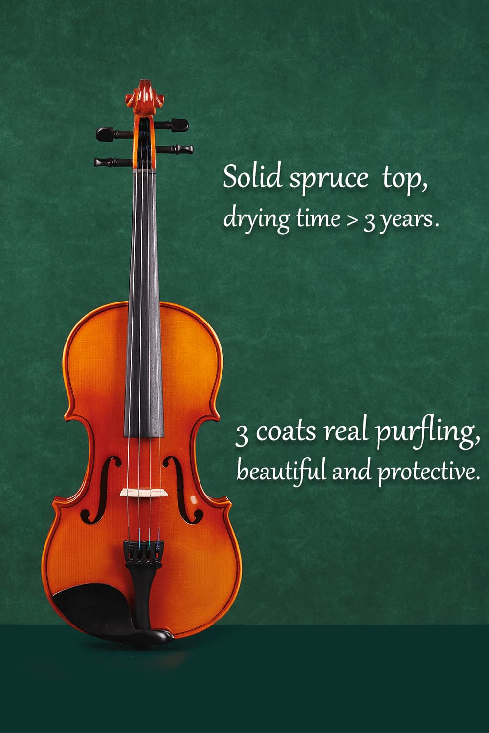 Gloss Beginner Violin Outfit L005 – Better Than Same Price | Fiddlover