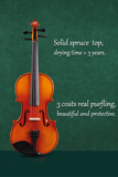 Glossy Finish Beginners Violin Set L005-2