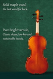 Glossy Finish Beginners Violin Set L005-3