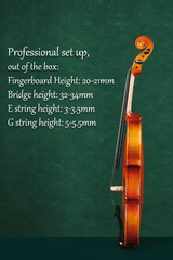 Glossy Finish Beginners Violin Set L005-4