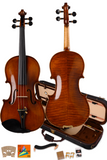 Intermediate Violin Set Wbow, strings, case, rosin, maple shoulder rest, mute, tuner, cleaning cloth