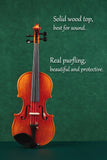 Luxury Full-Size(4/4) Beginner Violin Outfit for Adult&Student Q042 (Out of print) 1