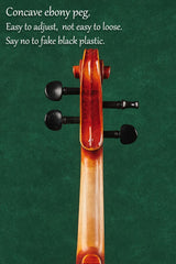 Luxury Full-Size(4/4) Beginner Violin Outfit for Adult&Student Q042 (Out of print) 3