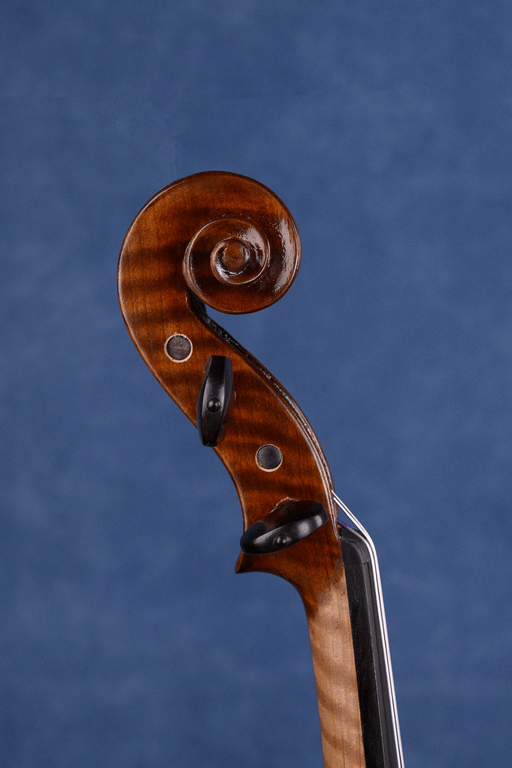 Mastercrafted One-Piece Intermediate Violin Q046 | Fiddlover