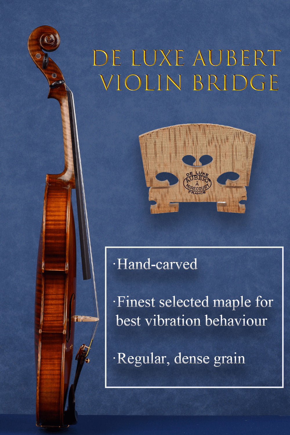 Mastercrafted One-Piece Intermediate Violin Q046 | Fiddlover