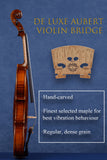 Mastercrafted One-Piece Intermediate Violin Q046 | Fiddlover
