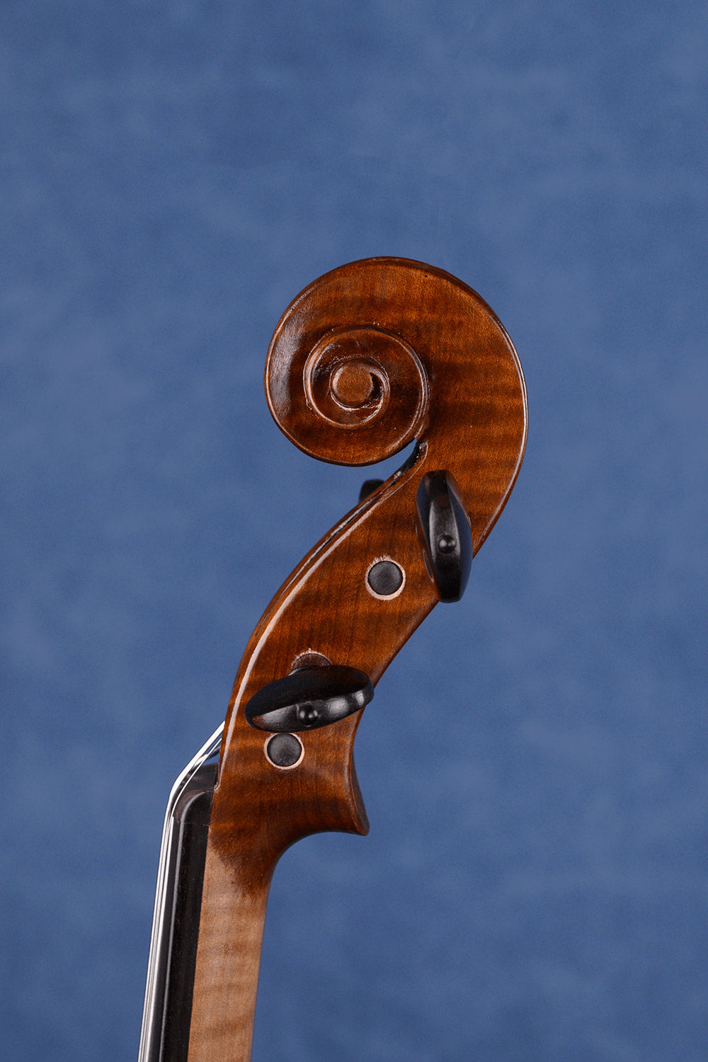 Mastercrafted One-Piece Intermediate Violin Q046 | Fiddlover