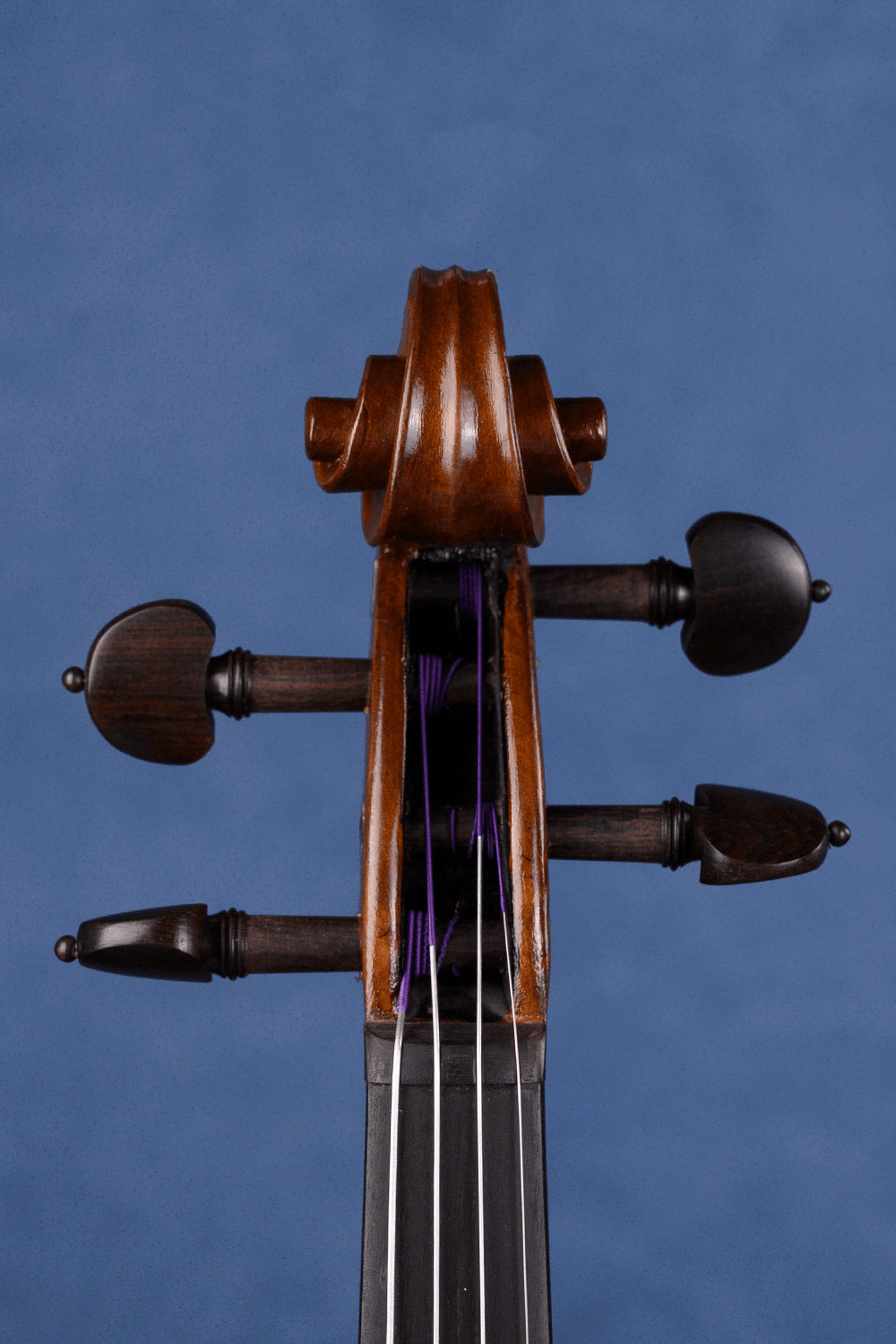 Mastercrafted One-Piece Intermediate Violin Q046 | Fiddlover
