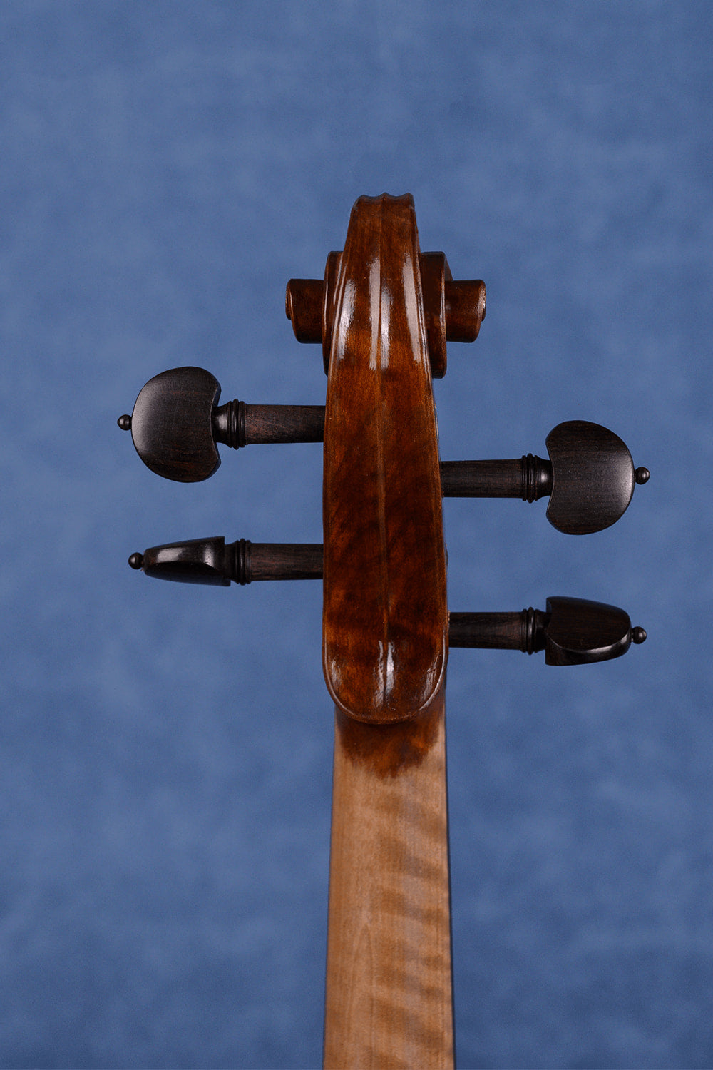 Mastercrafted One-Piece Intermediate Violin Q046 | Fiddlover