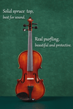 Matte Finish Beginners Violin Set L005-2