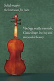 Matte Beginner Violin Set – Full Starter Kit Value | Fiddlover