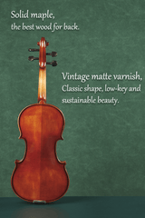 Matte Finish Beginners Violin Set L005-3