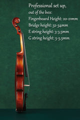 Matte Beginner Violin Set – Full Starter Kit Value | Fiddlover 