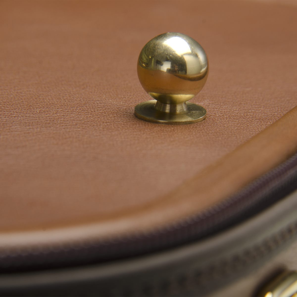 Negri Diplomat Wooden Viola Case