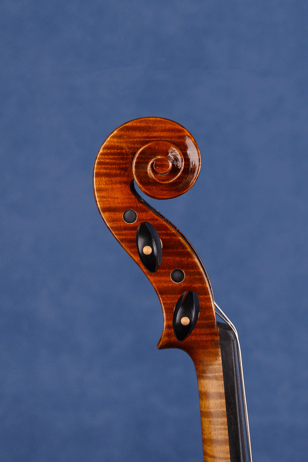 One-Piece Intermediate  Violin Q047