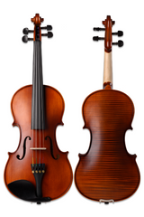 Professional Setup Violin | High-Quality Craftsmanship for Students