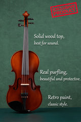 Professional Setup Violin | High-Quality Craftsmanship for Students