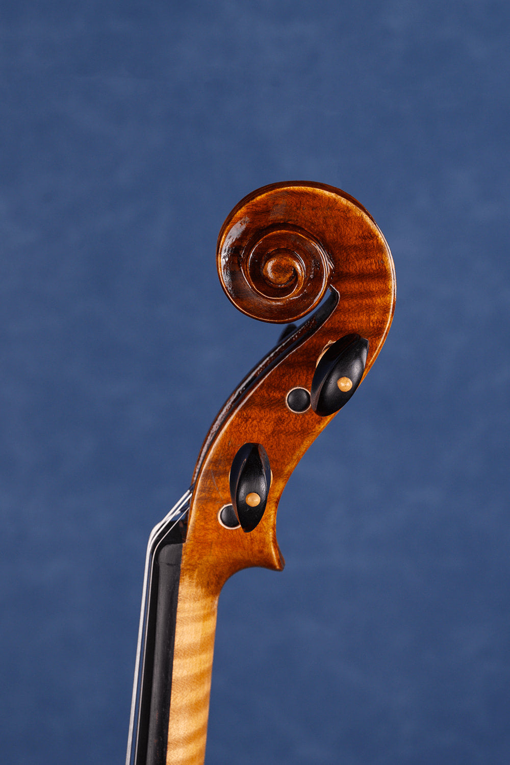 Q003 Intermediate Violin Outfit - Includes 10+ Essential Accessories
