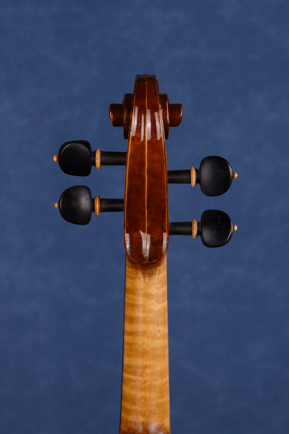 Q003 Violin with Aubert Bridge & Thomastik Strings | Pro Setup 4/4