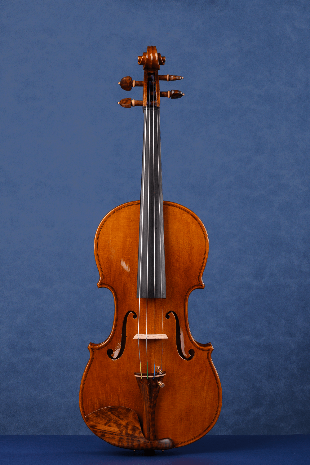 Q006 Intermediate Violin | Premium Maple & Spruce | Snakewood Fittings