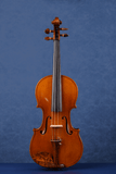 Q006 Intermediate Violin | Premium Maple & Spruce | Snakewood Fittings
